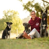 Hundeerziehung: Worauf müssen Anfänger achten?