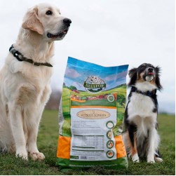 Hydrolisiertes Hundefutter und mögliche Alternativen für allergische Hunde