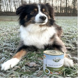 Insektenprotein? Aber mein Hund braucht doch echtes Fleisch