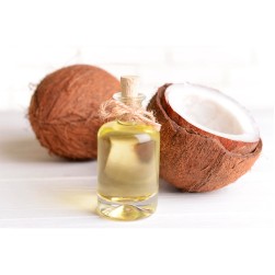 Kokosöl gegen Zecken beim Hund