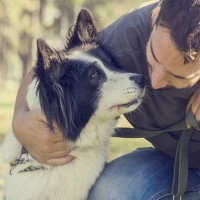 Schritt für Schritt zu mehr Komfort und Sicherheit: Der umfassende Ratgeber zu Hundesocken