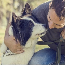 Schritt für Schritt zu mehr Komfort und Sicherheit: Der umfassende Ratgeber zu Hundesocken