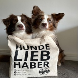Was kostet ein Hund im Monat?