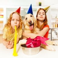 Welche Hunderassen mit Kindern?