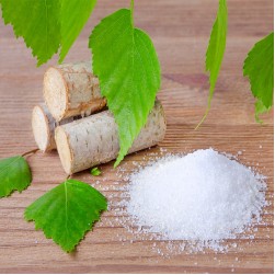 Xylit für Hunde: Was macht Birkenzucker so gefährlich?