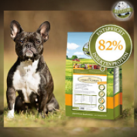 Vier gute Gründe für Insekten im Hundefutter