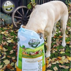 Taurin im Hundefutter: darum ist es so wichtig