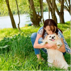 Begleithundeprüfung: wichtige Grundlage für Sport- und Gebrauchshunde