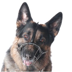 Aggressiver Schäferhund: Ursachen und Tipps für betroffene Halter