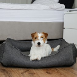 Braucht mein Hund ein orthopädisches Hundebett?