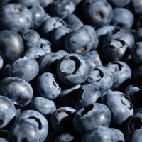 Dürfen Hunde Heidelbeeren essen?