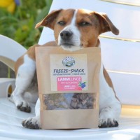 Dürfen Hunde Mandarinen essen?