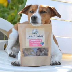 Dürfen Hunde Mandarinen essen?