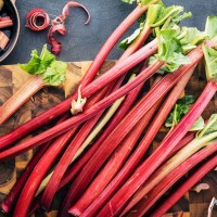 Dürfen Hunde Rhabarber essen?