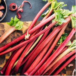 Dürfen Hunde Rhabarber essen?