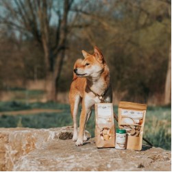 Dürfen Hunde Wassermelone essen?