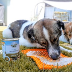 Hypoallergenes Hundefutter