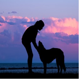 Canicross: Hundesport für fitte Halter