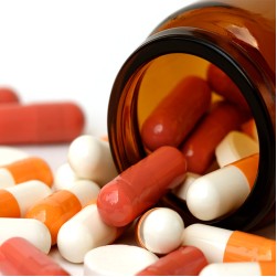 Doping bei Hunden: verbotene Substanzen und Alternativen