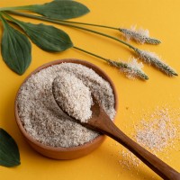 Flohsamenschalen: Ein natürliches Wundermittel für die Gesundheit Ihres Hundes