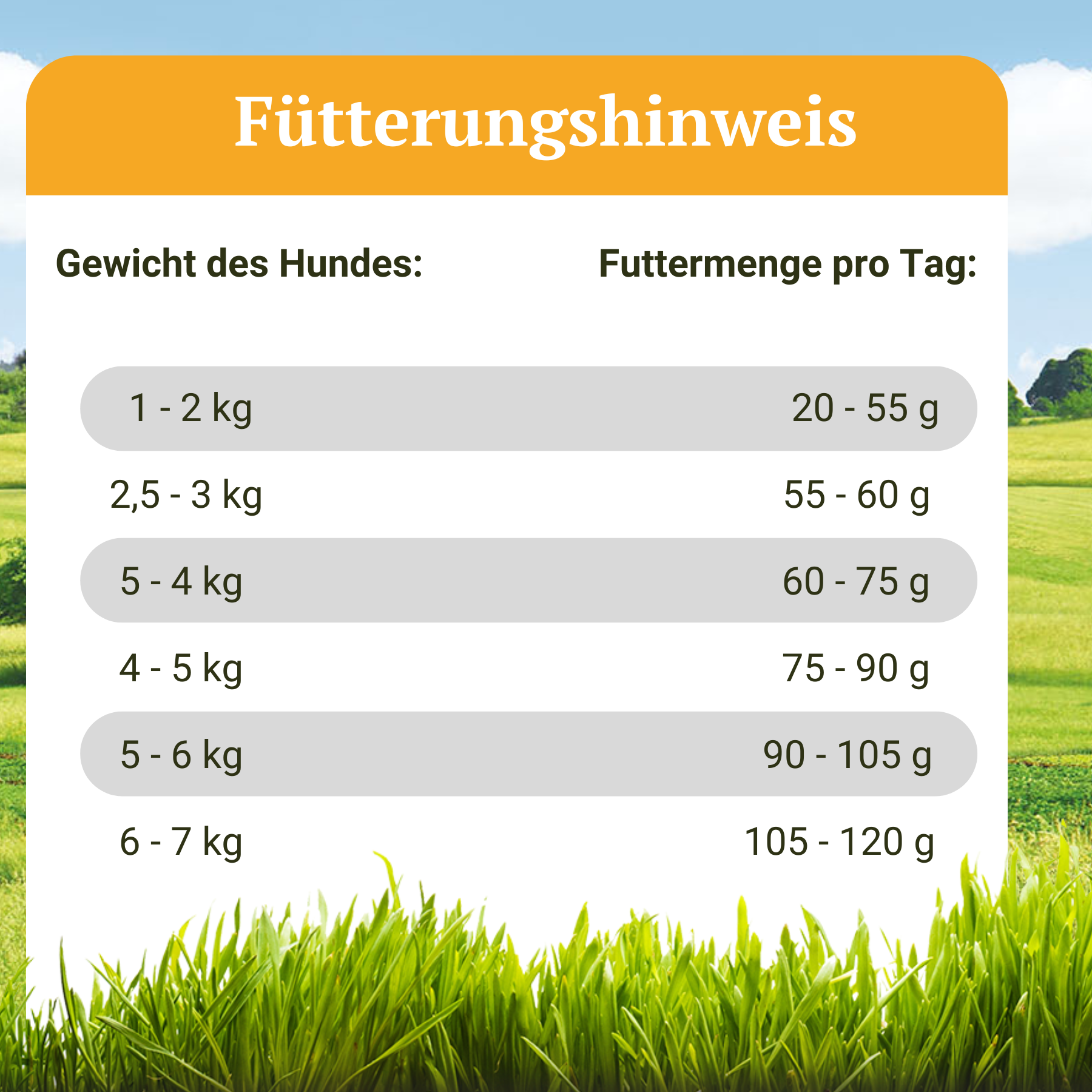 Hypoallergenes Trockenfutter mit Insektenprotein - Landgut-Schmaus Mini - 2,5 kg