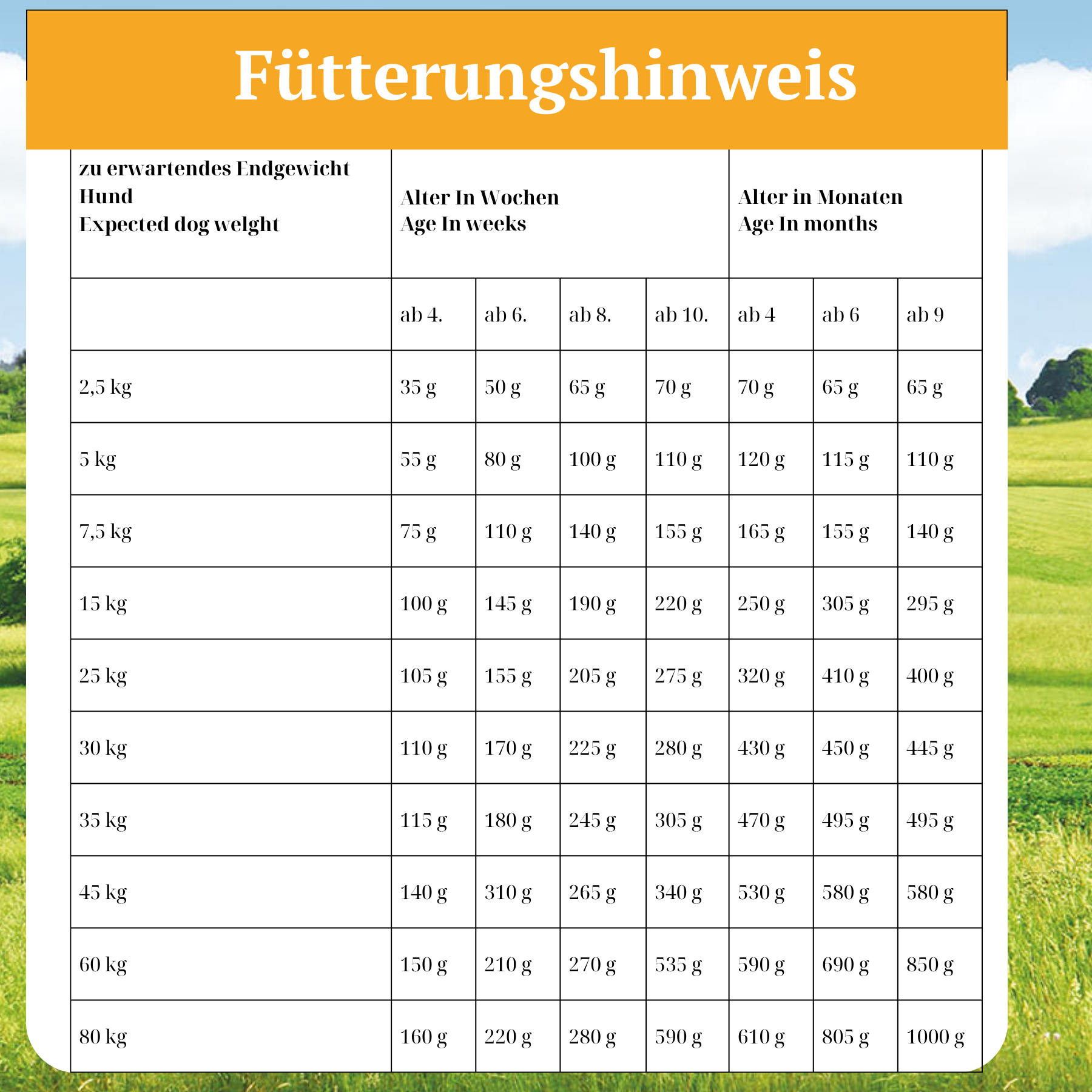 Trockenfutter für heranwachsende Hunde mit Insektenprotein - Landgut-Schmaus Junior - 2,5 kg