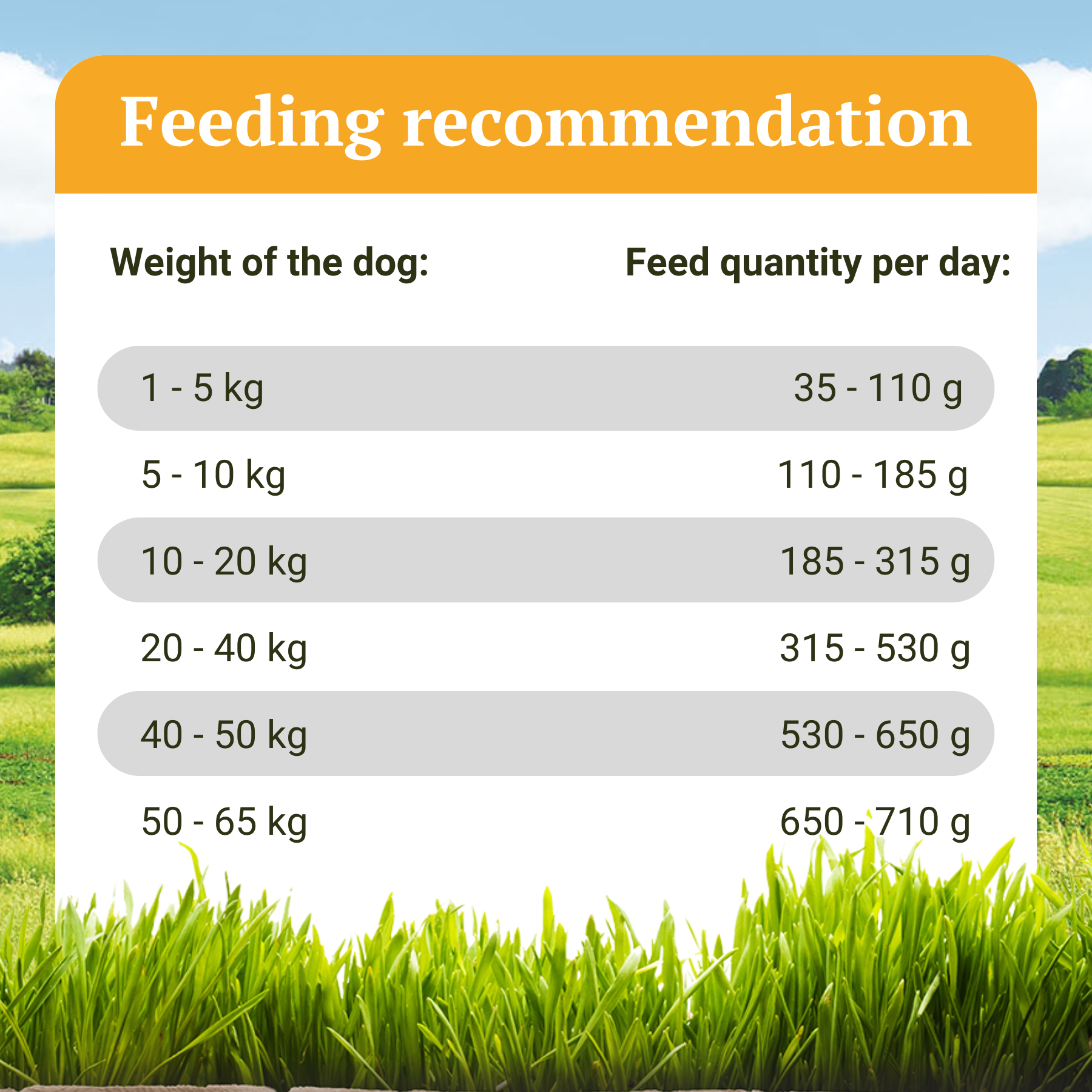 Trockenfutter mit Huhn - Freiland-Schmaus - 6,0 kg