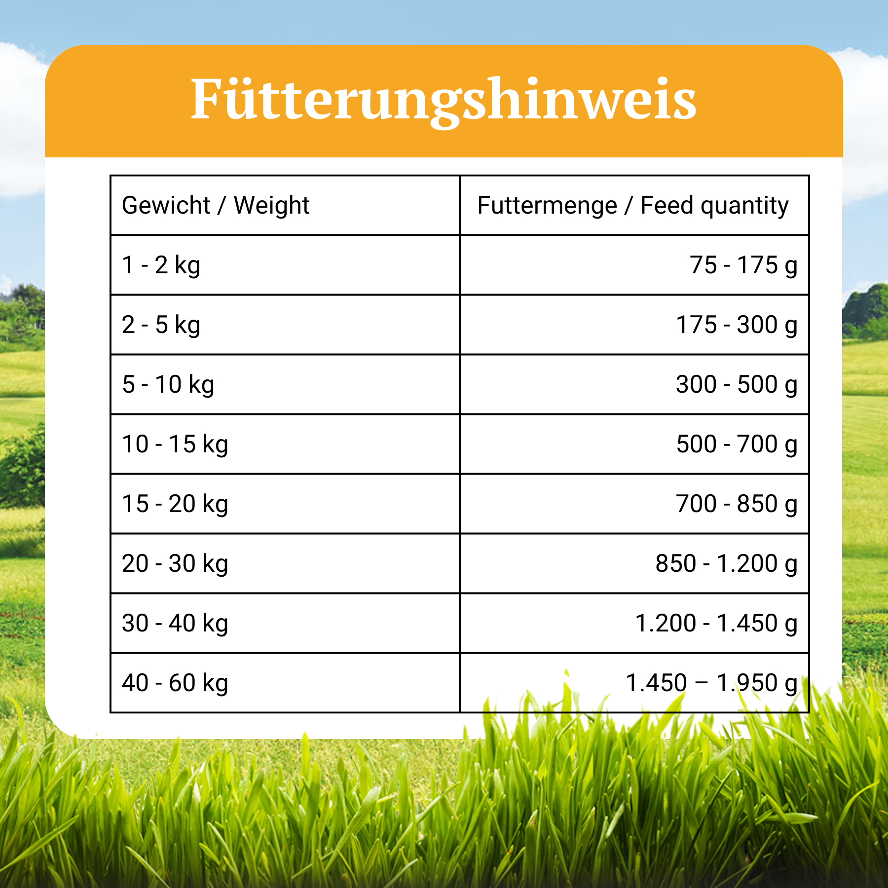 Bellfor Nassfutter auf Insektenbasis: Starter-Paket mit Landgut-Menü & Naturfarm-Menü (je 3 x 400 g)