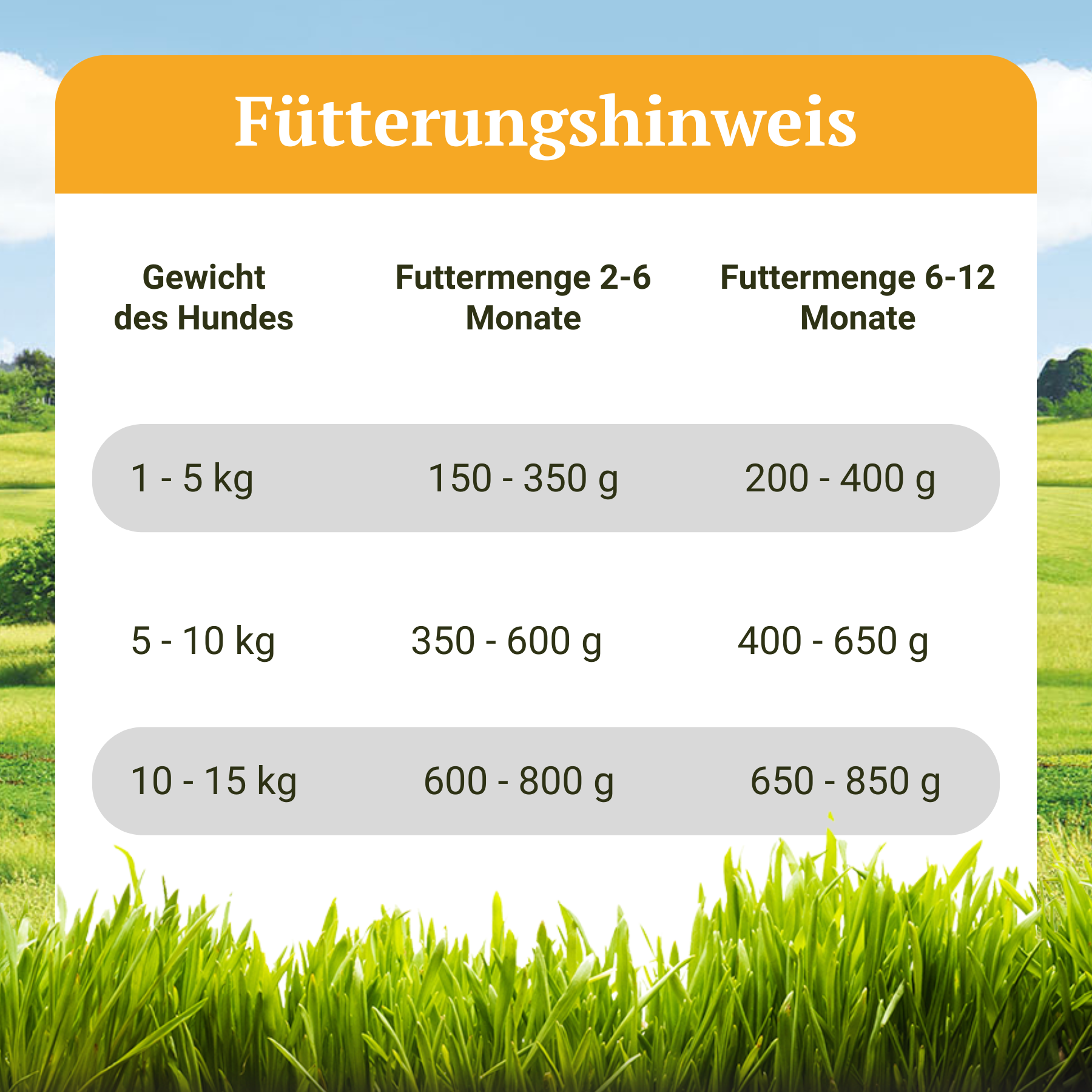 Hypoallergenes Hundefutter Nass mit Insekten für Welpen - Landgut-Menü Junior - 400 g