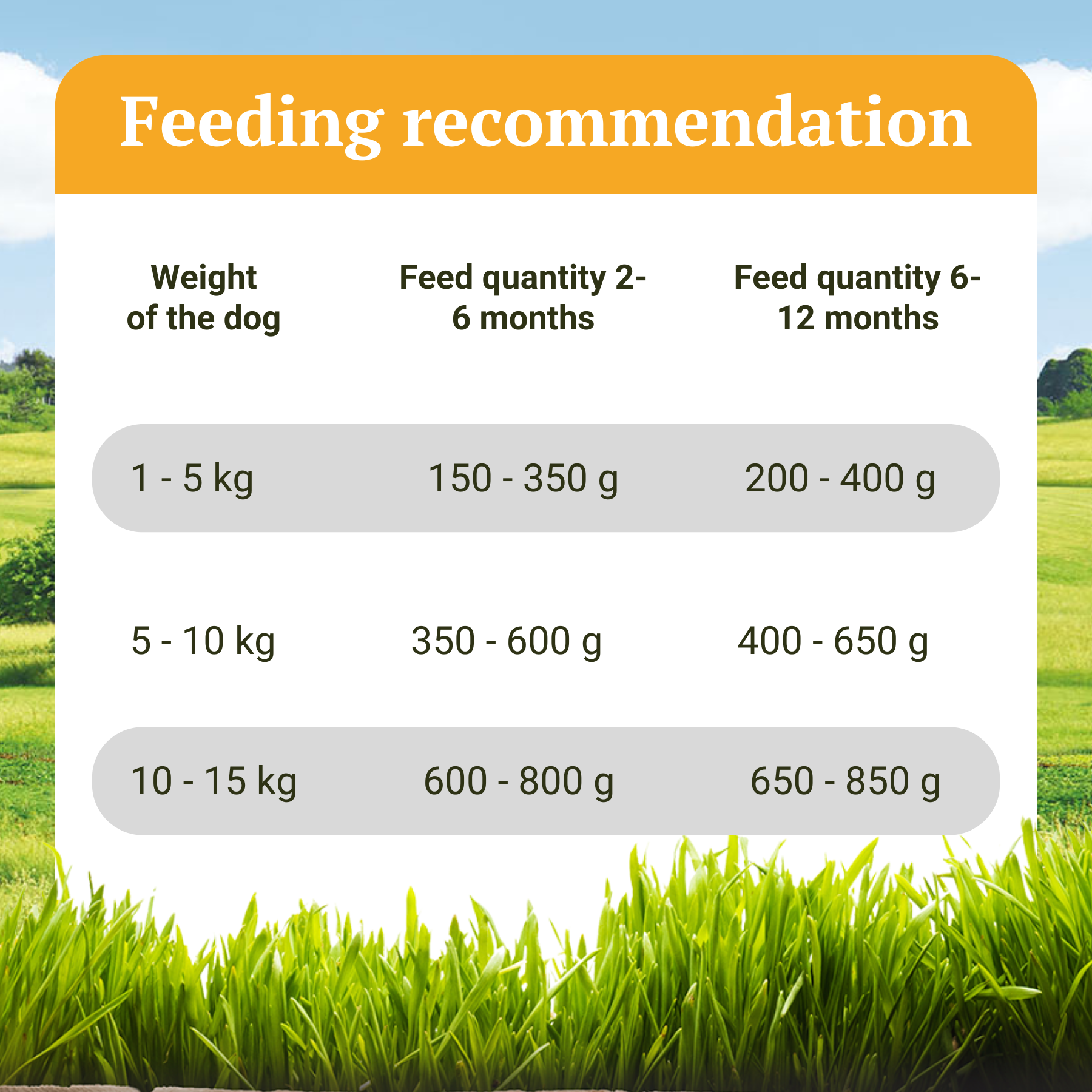 Hypoallergenes Hundefutter Nass mit Insekten für Welpen - Landgut-Menü Junior - 400 g