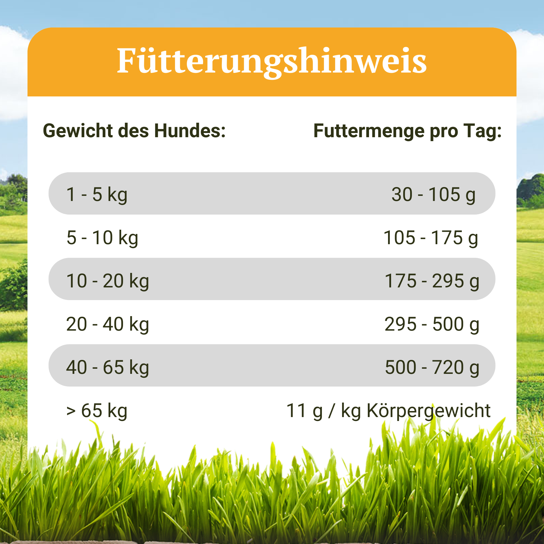 Kaltgepresstes Trockenfutter mit Huhn - Wiesen-Schmaus - 10 kg