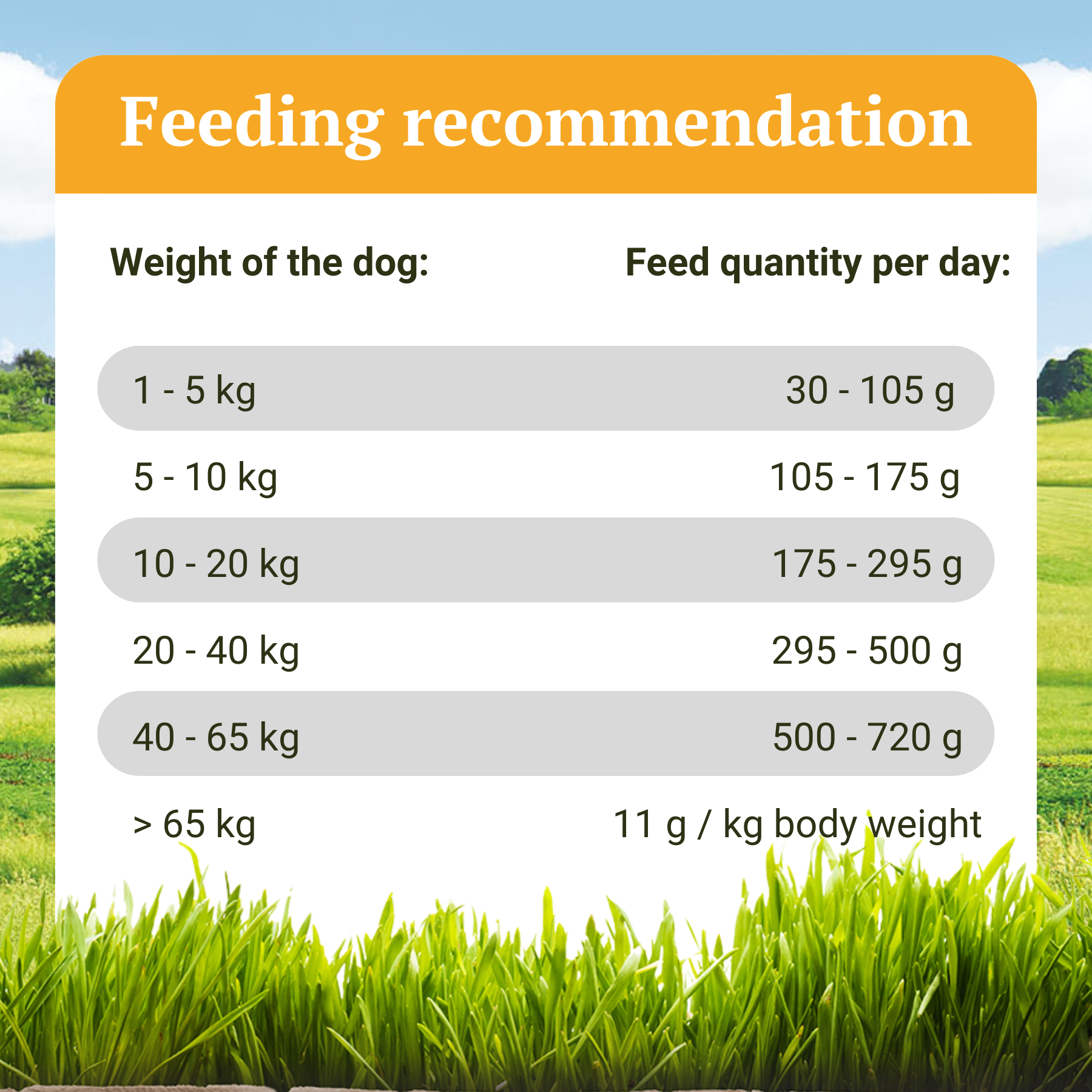 Kaltgepresstes Trockenfutter mit Huhn - Wiesen-Schmaus - 10 kg