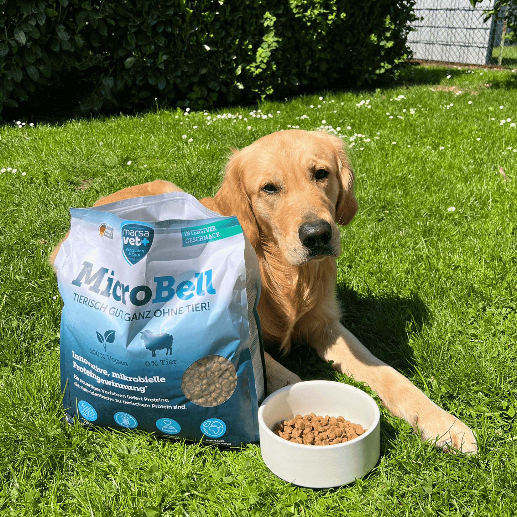Marsavet Trockenfutter mit mikrobiellem Protein - MicroBell - 4 kg