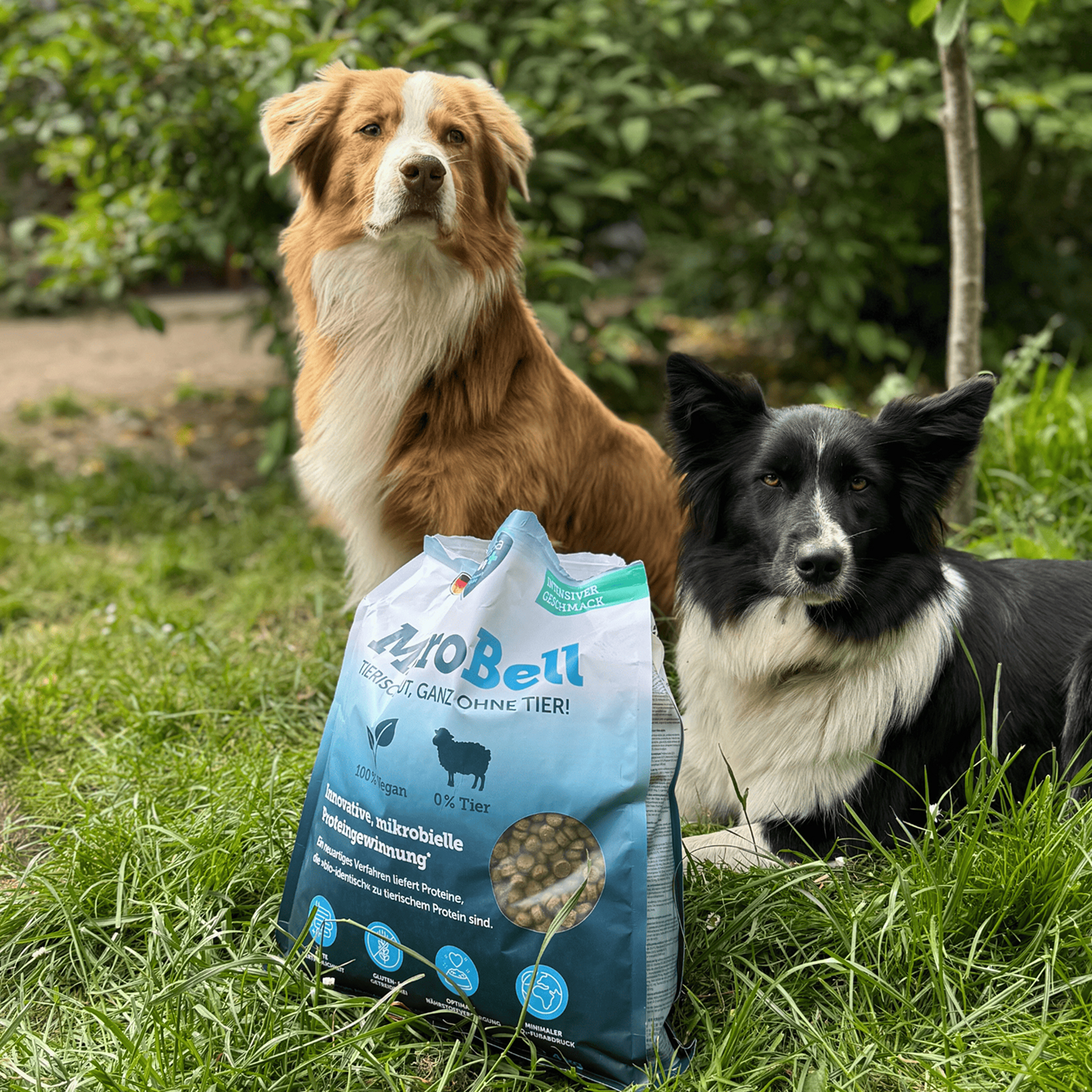 Marsavet Trockenfutter mit mikrobiellem Protein - MicroBell - 4 kg