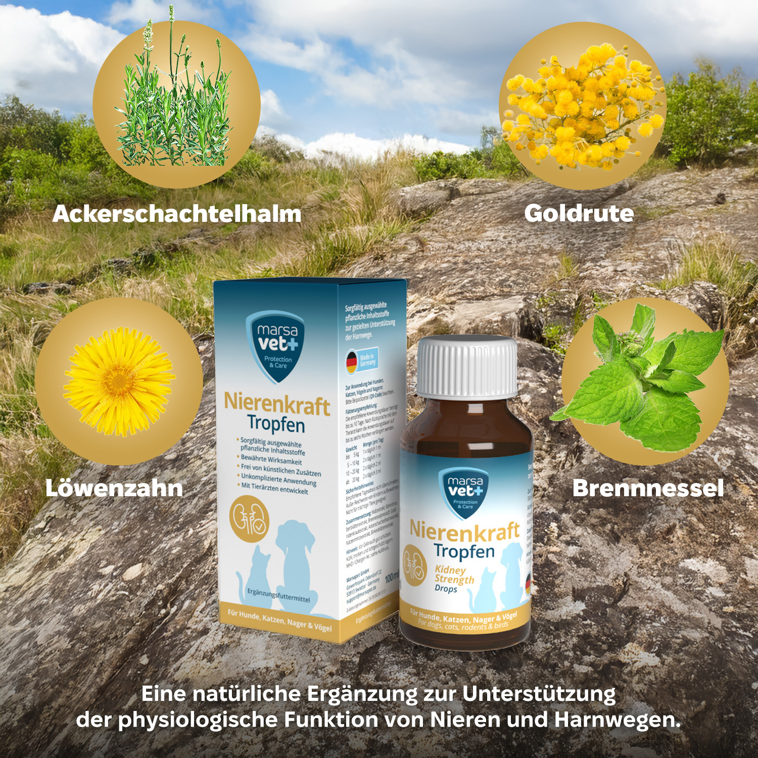 Marsavet Nierenkraft Tropfen - 100 ml