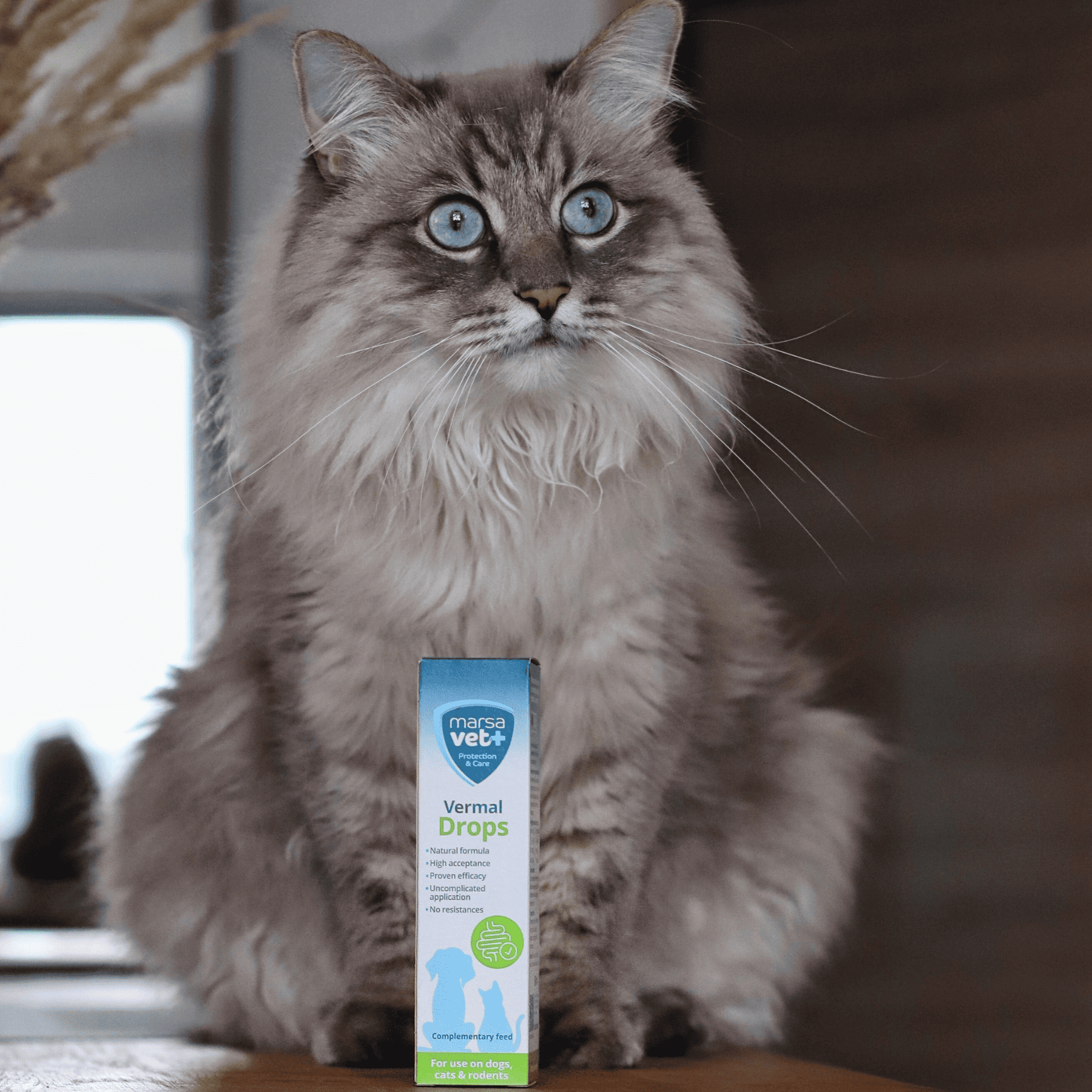 Marsavet – Vermal Tropfen – 50 ml