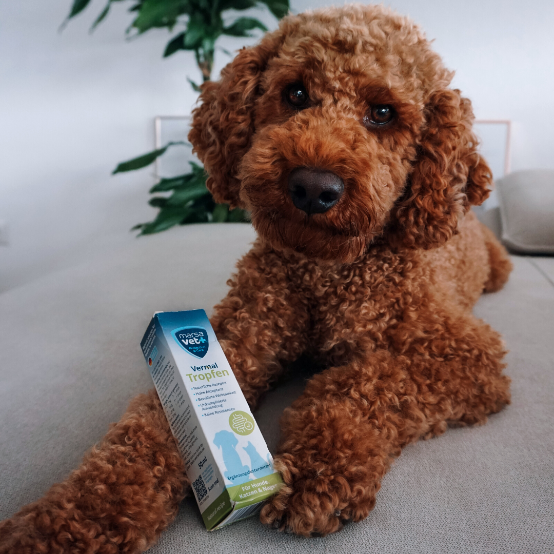 Marsavet – Vermal Tropfen – 50 ml