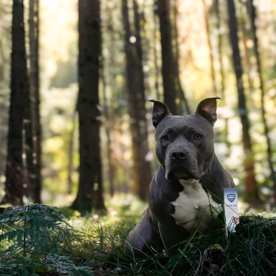 Marsavet Spot-On 50 ml