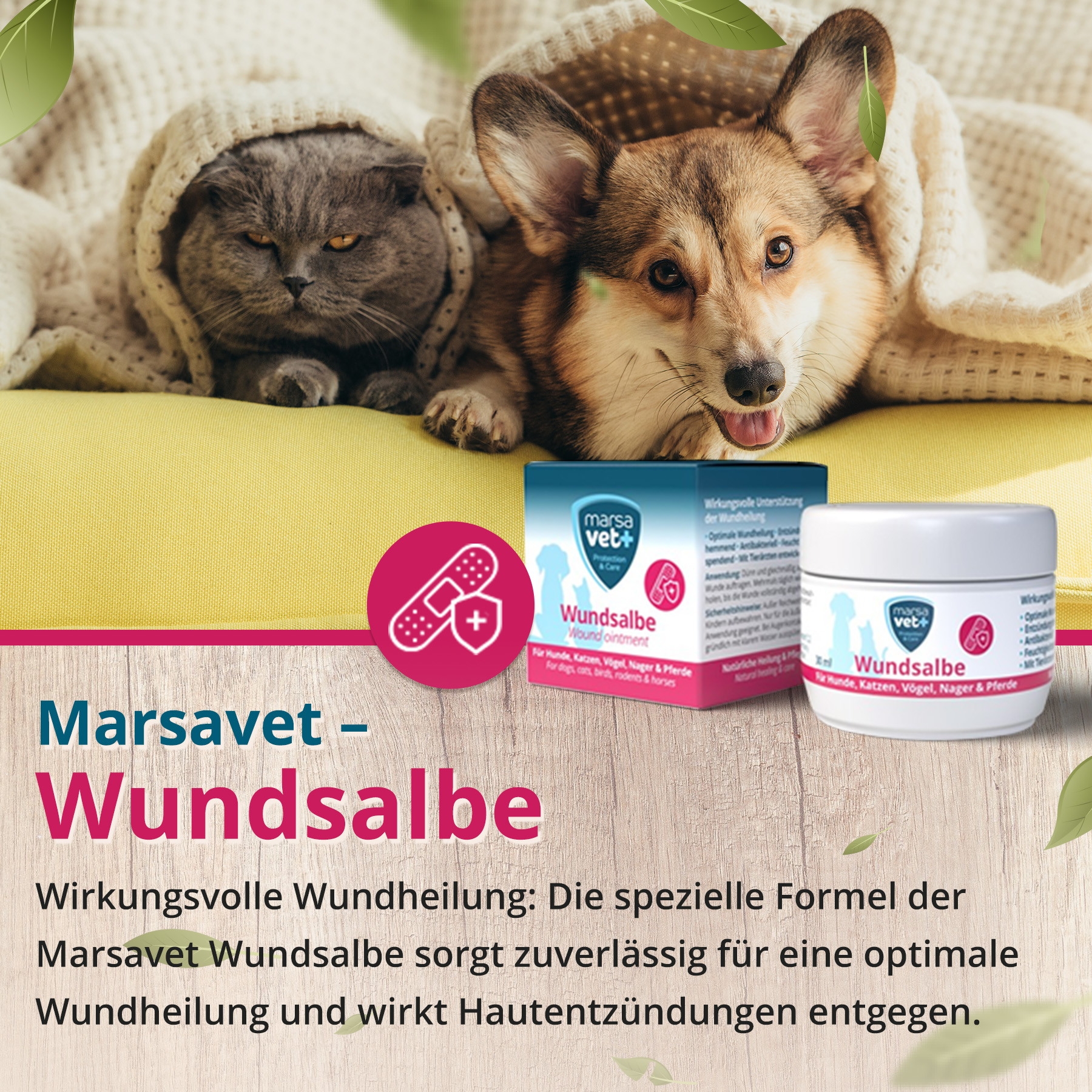 Grasmilben Sparset für Hunde