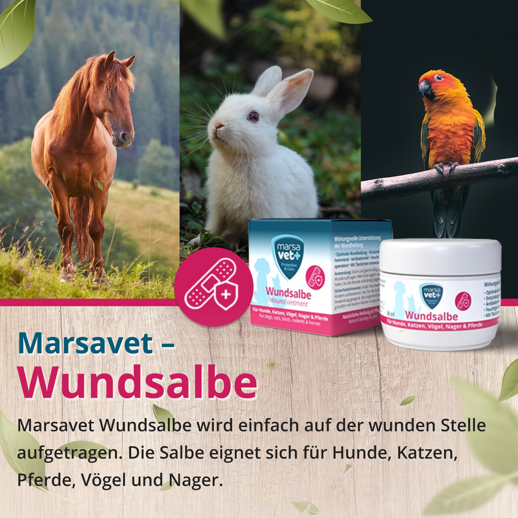 Marsavet Wundsalbe