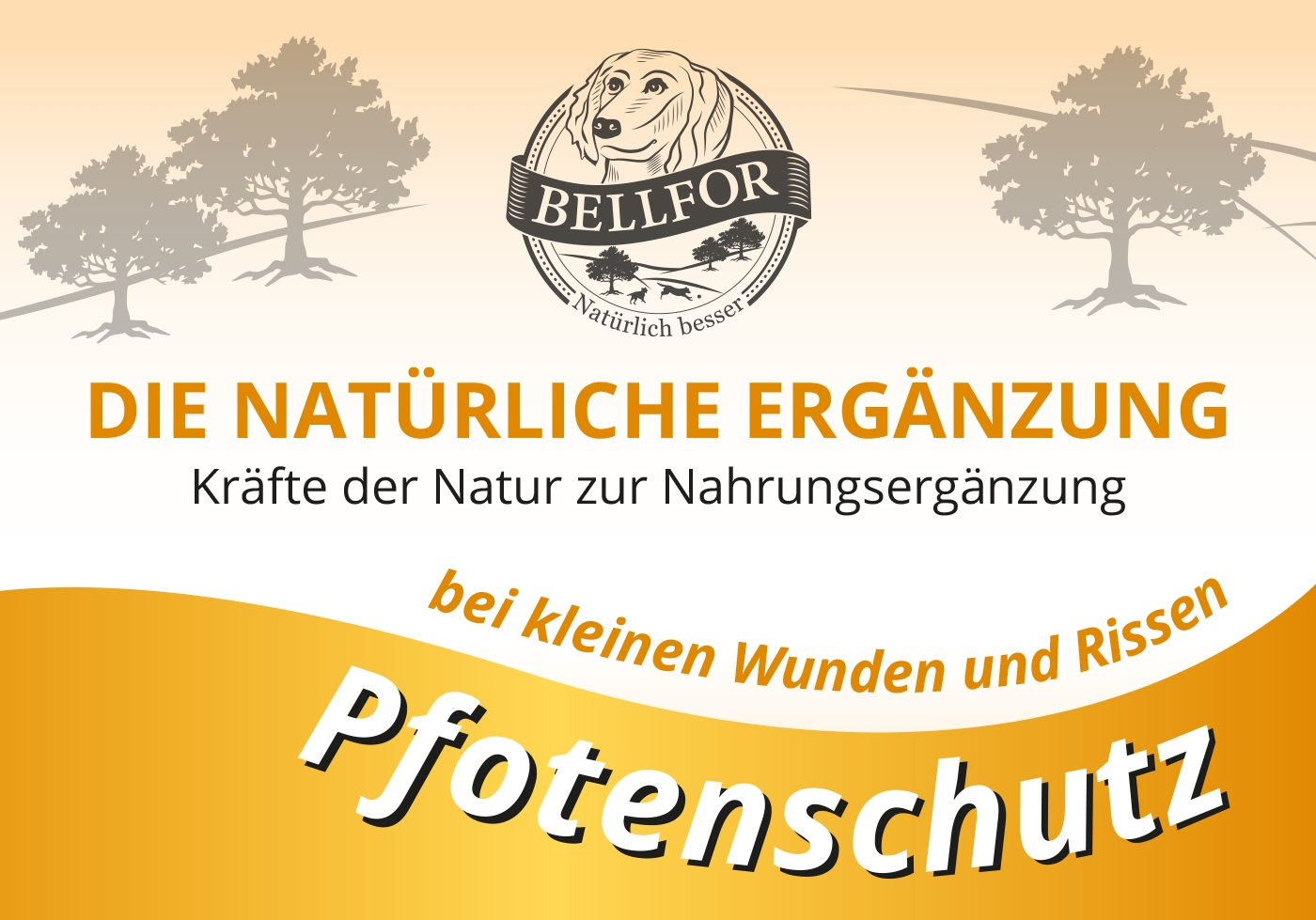 Wichtige Produkte für Ihre Hunde-Reiseapotheke als günstiges Sparset