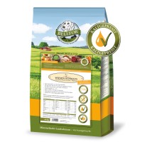 Die häufigsten Fütterungsfehler bei Hunden