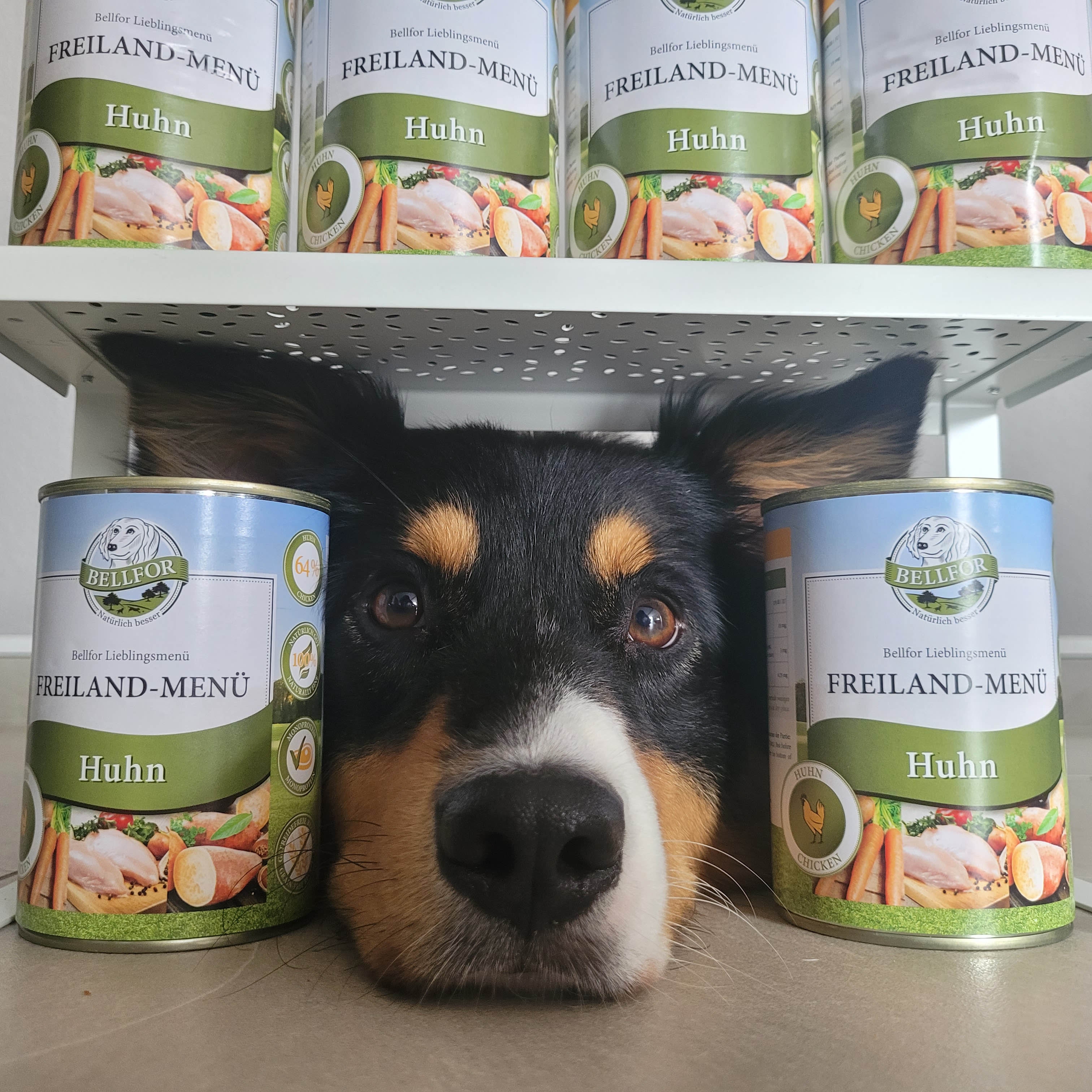 Hundefutter Nass mit Huhn - Freiland-Menü - 400 g