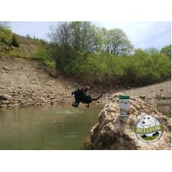 Wie Sie Gelenkproblemen bei Sporthunden vorbeugen