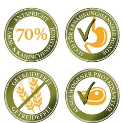 Getreidefreies Hundefutter: sinnvoll oder nicht?