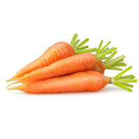 Morosche Karottensuppe als Hausmittel für Hunde mit Durchfall?