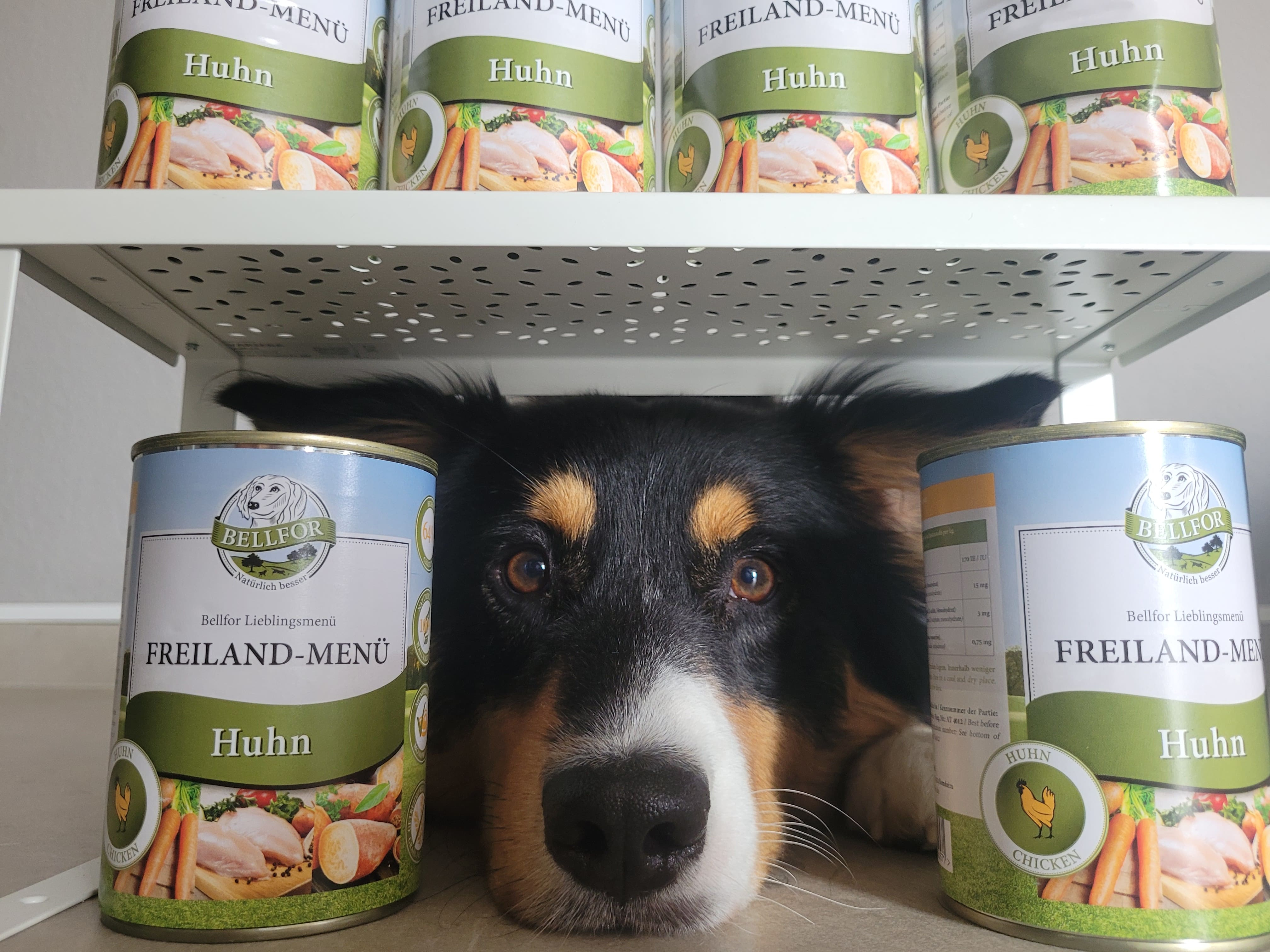 Hundenassfutter mit Huhn - Hundenassfutter Getreidefrei - Freiland-Menü von Bellfor Hundefutter - 800 g