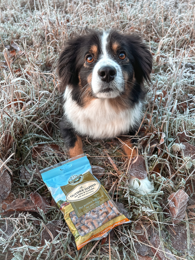 Getreidefreie Soft-Snacks für Hunde mit Ente und Truthah - Gutshof-Happen - 200 g