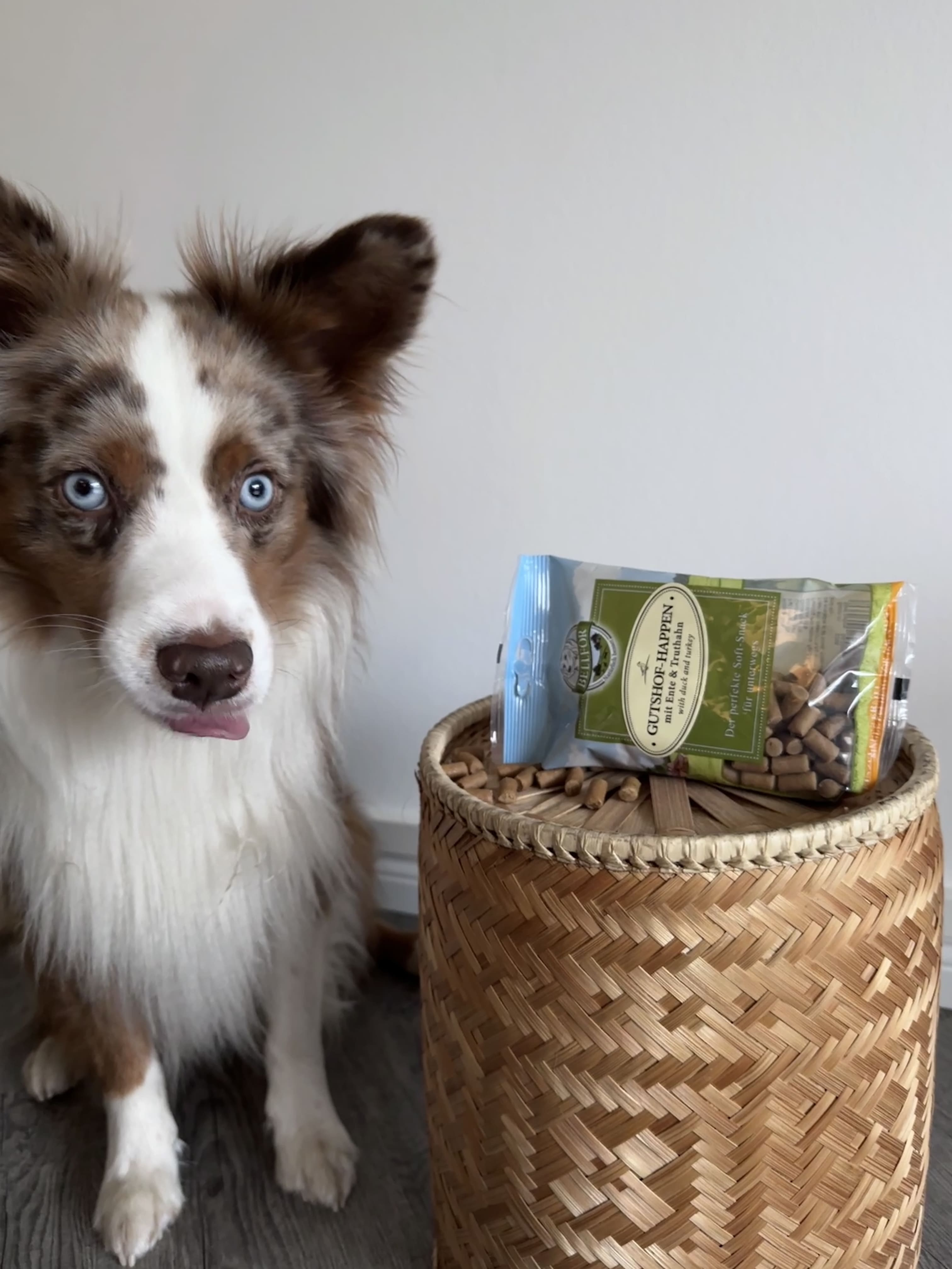 Getreidefreie Soft-Snacks für Hunde mit Ente und Truthah - Gutshof-Happen - 200 g
