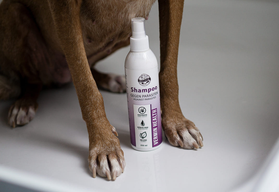 Hundeshampoo Vermin Health - gegen Hautparasiten beim Hund - 250ml